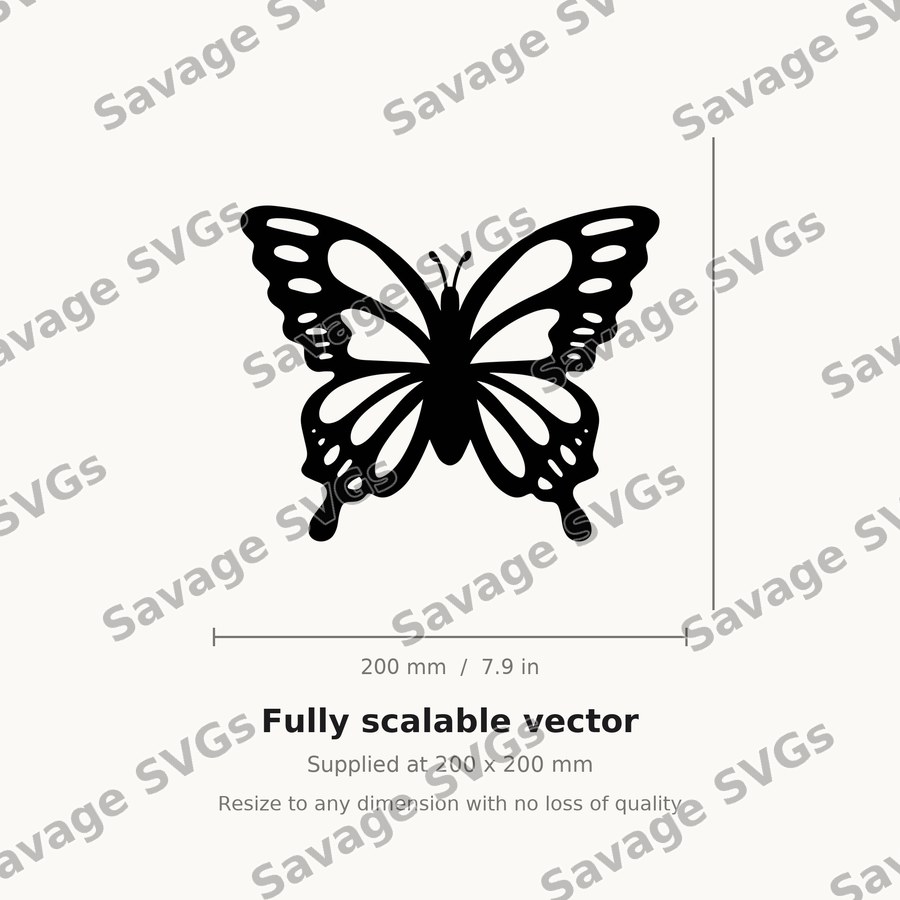 Symmetrical Butterfly
