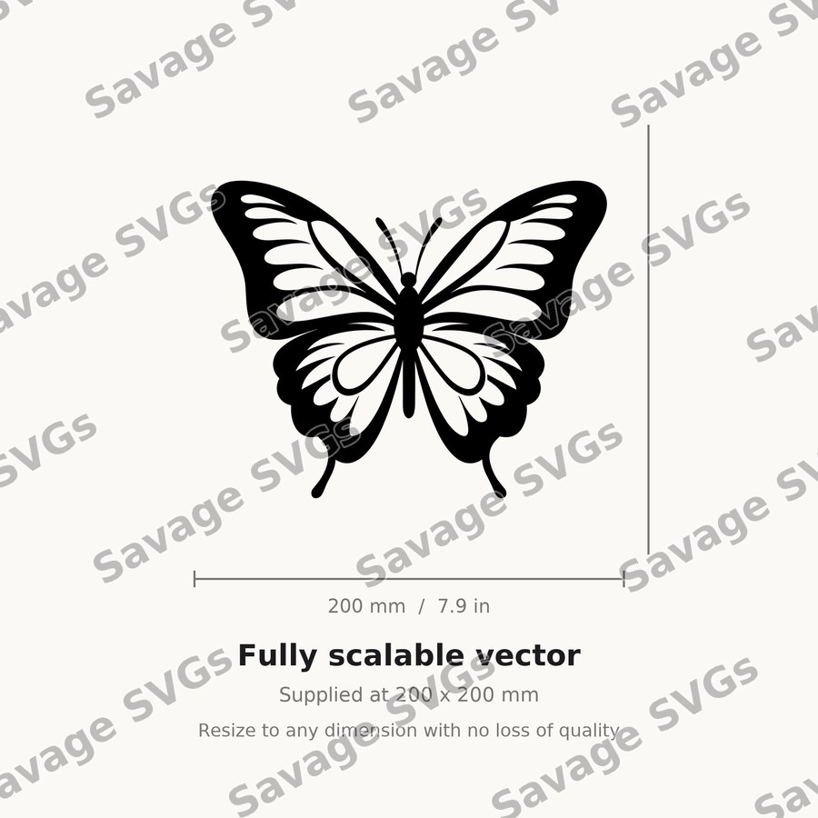 Symmetrical Butterfly