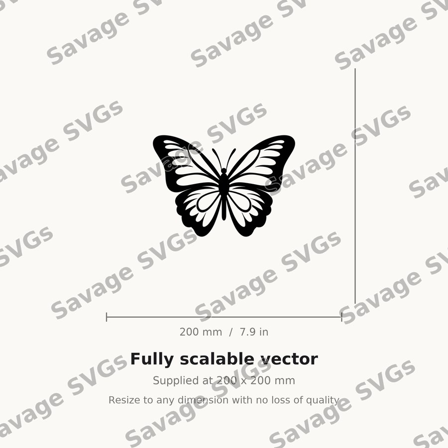 Symmetrical Butterfly