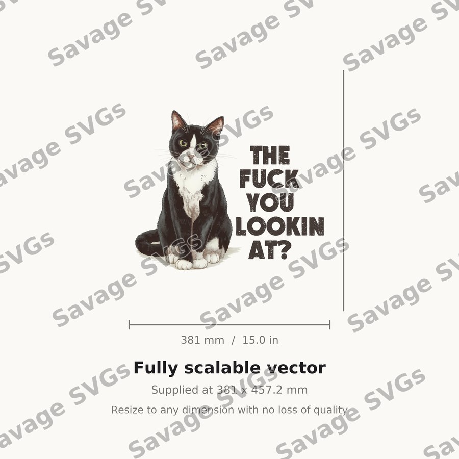 The Fuck You Lookin At