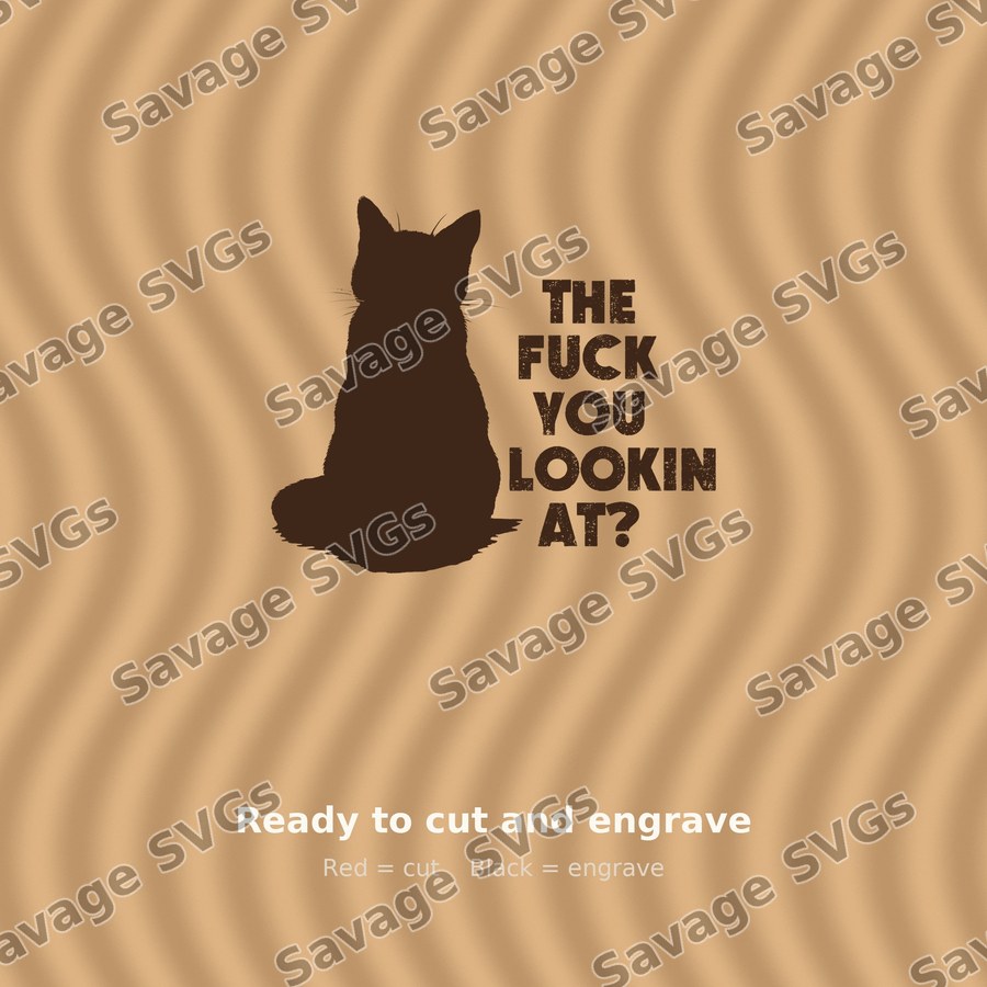 The Fuck You Lookin At