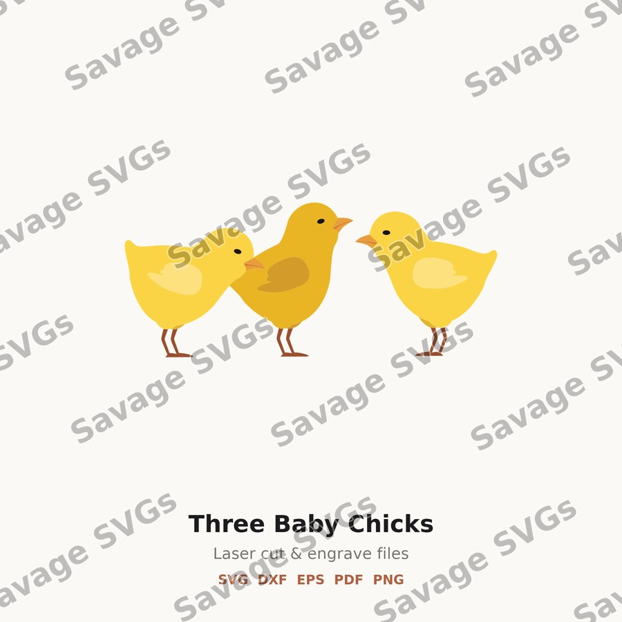 Three Baby Chicks