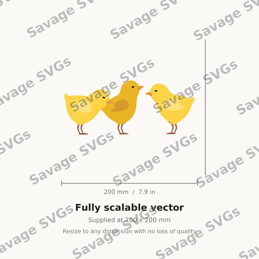 Three Baby Chicks