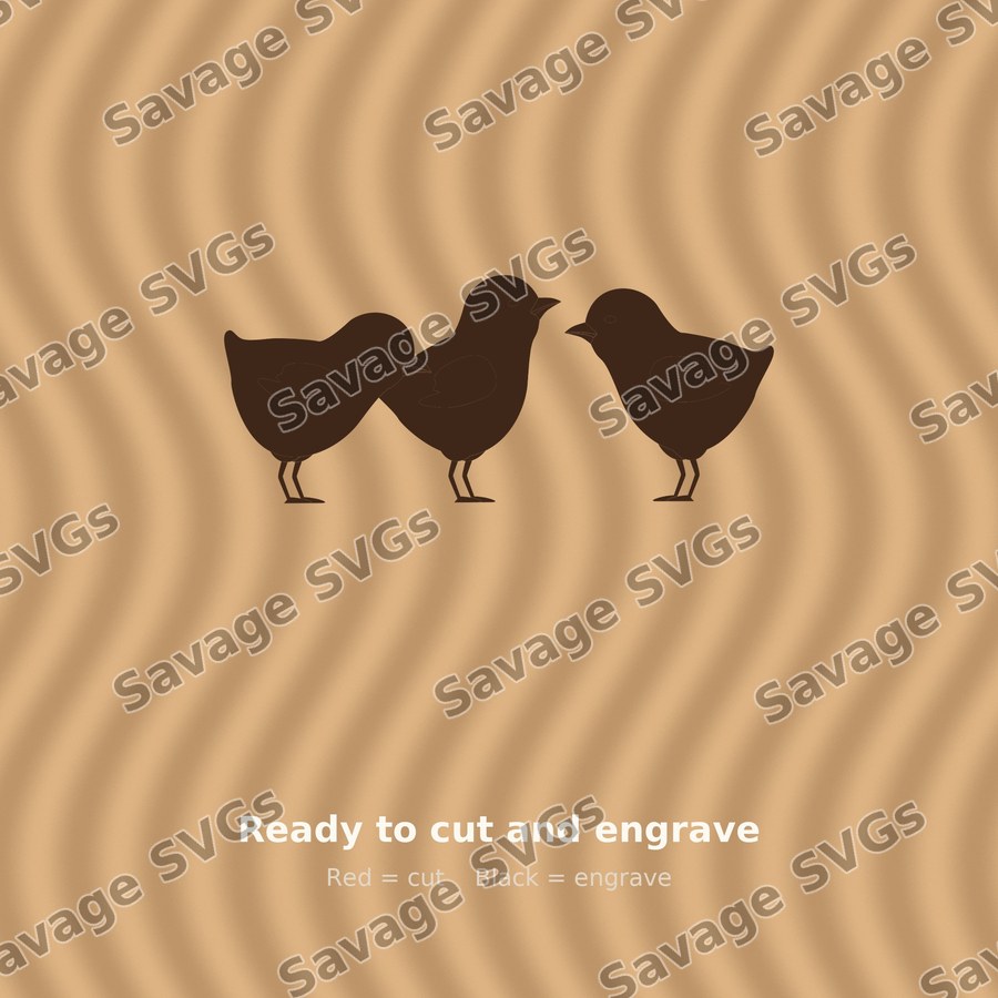 Three Baby Chicks