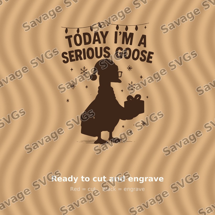Today I'm A Serious Goose