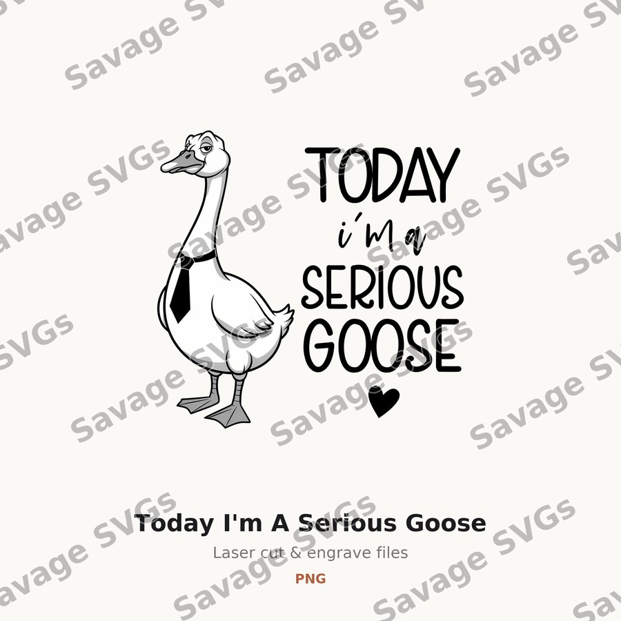Today I'm A Serious Goose