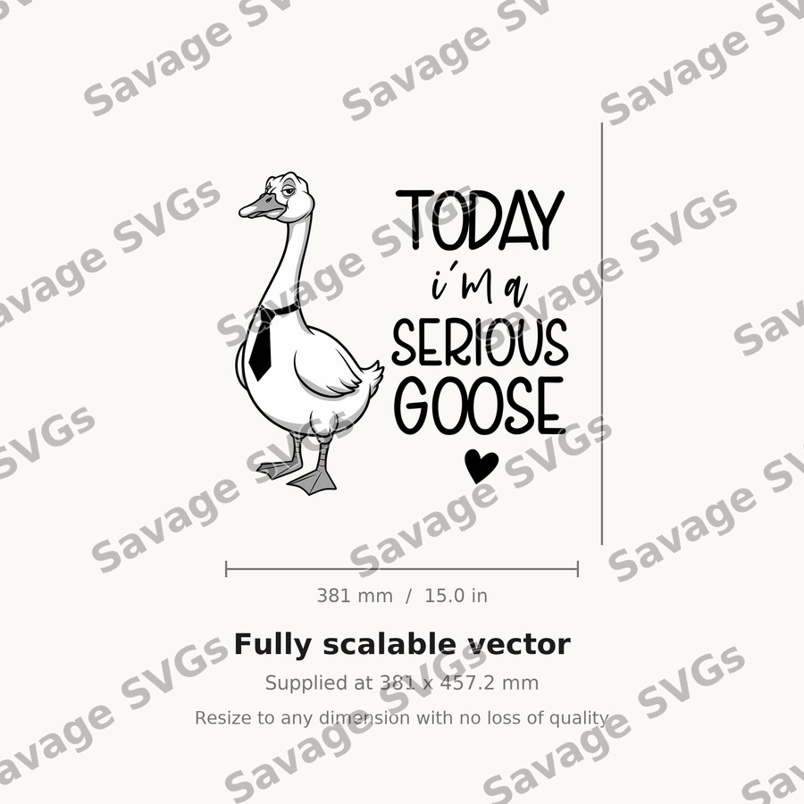 Today I'm A Serious Goose
