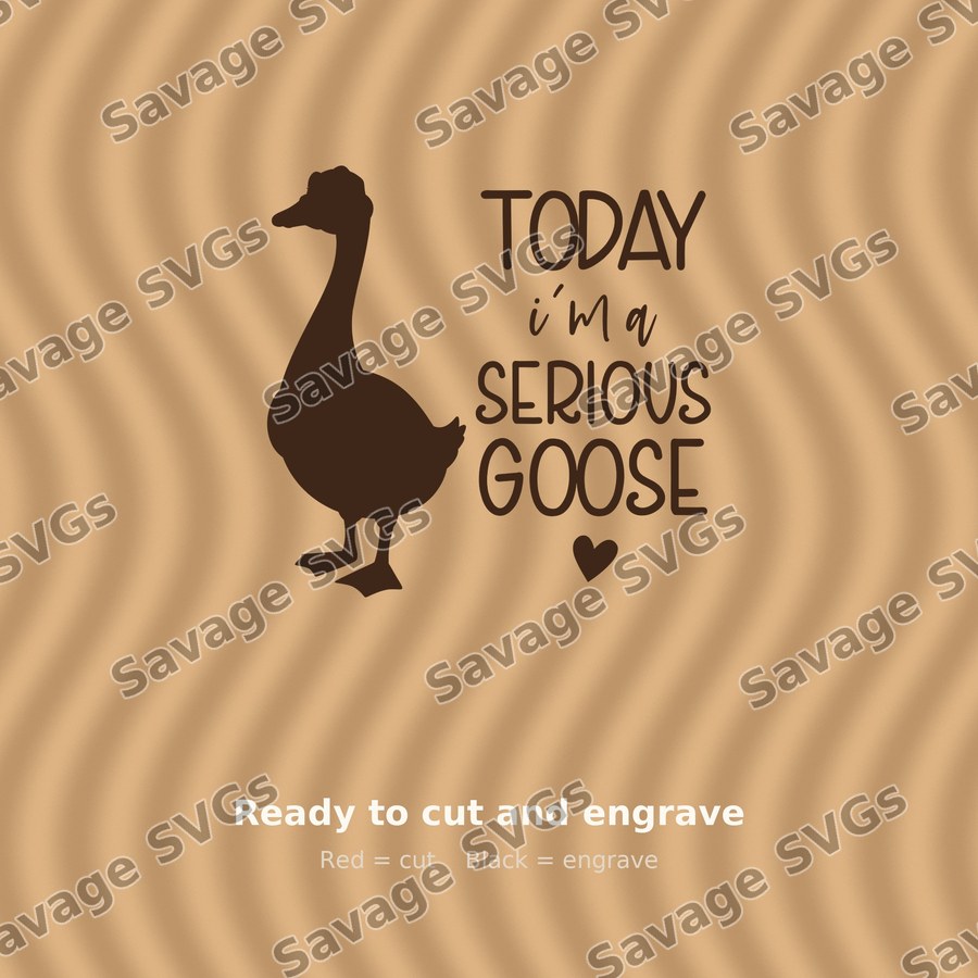 Today I'm A Serious Goose