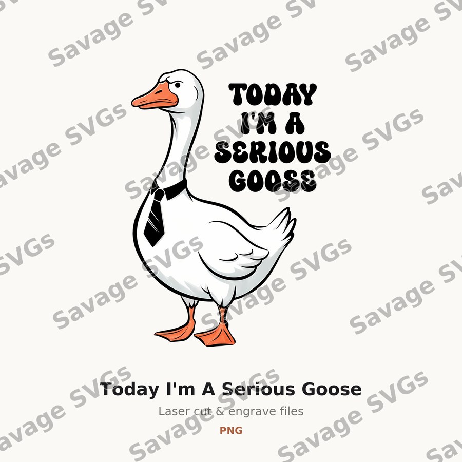 Today I'm A Serious Goose