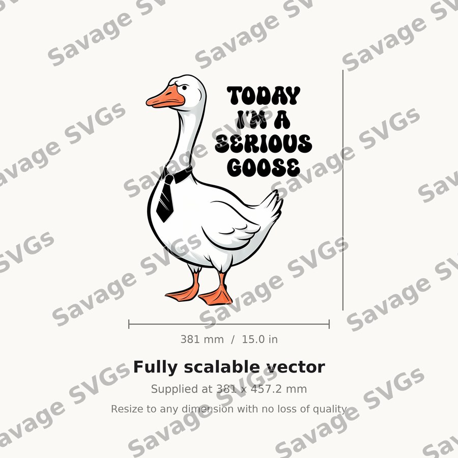 Today I'm A Serious Goose