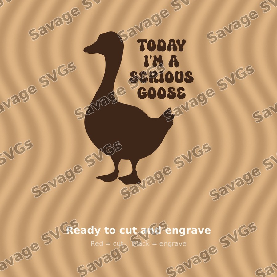 Today I'm A Serious Goose