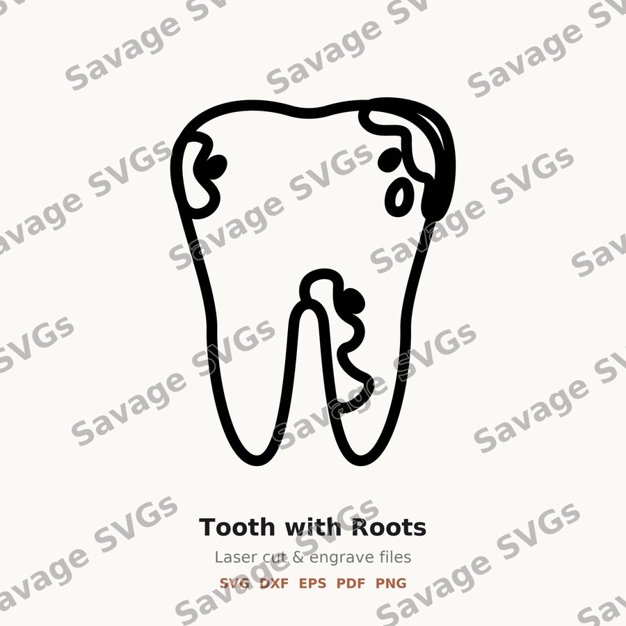 Tooth with Roots