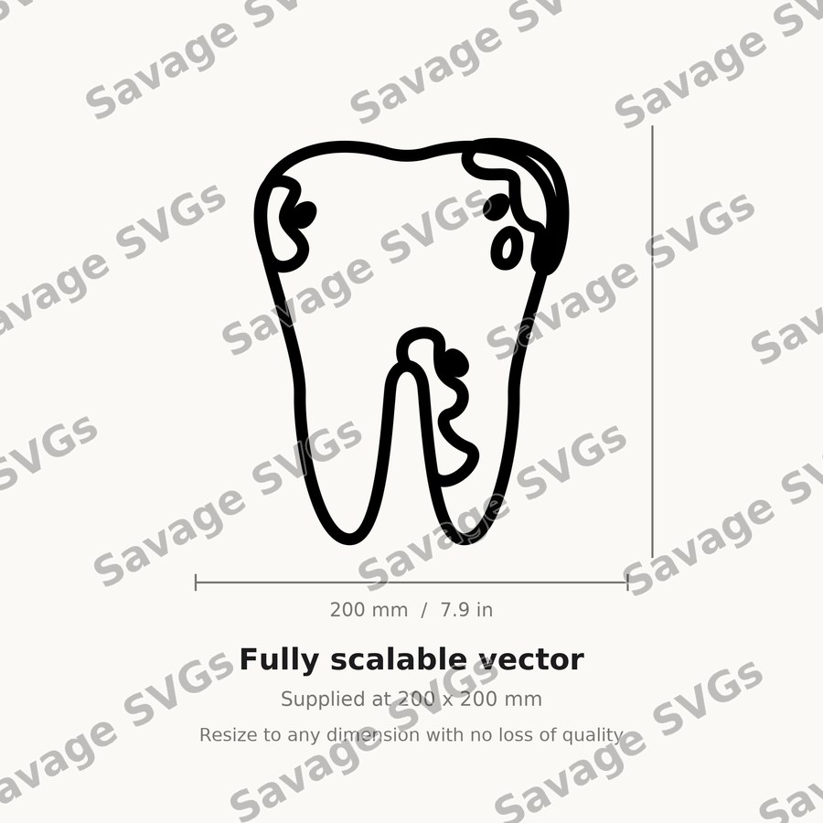 Tooth with Roots