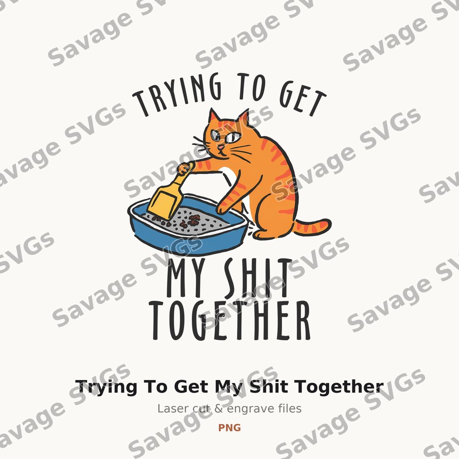Trying To Get My Shit Together