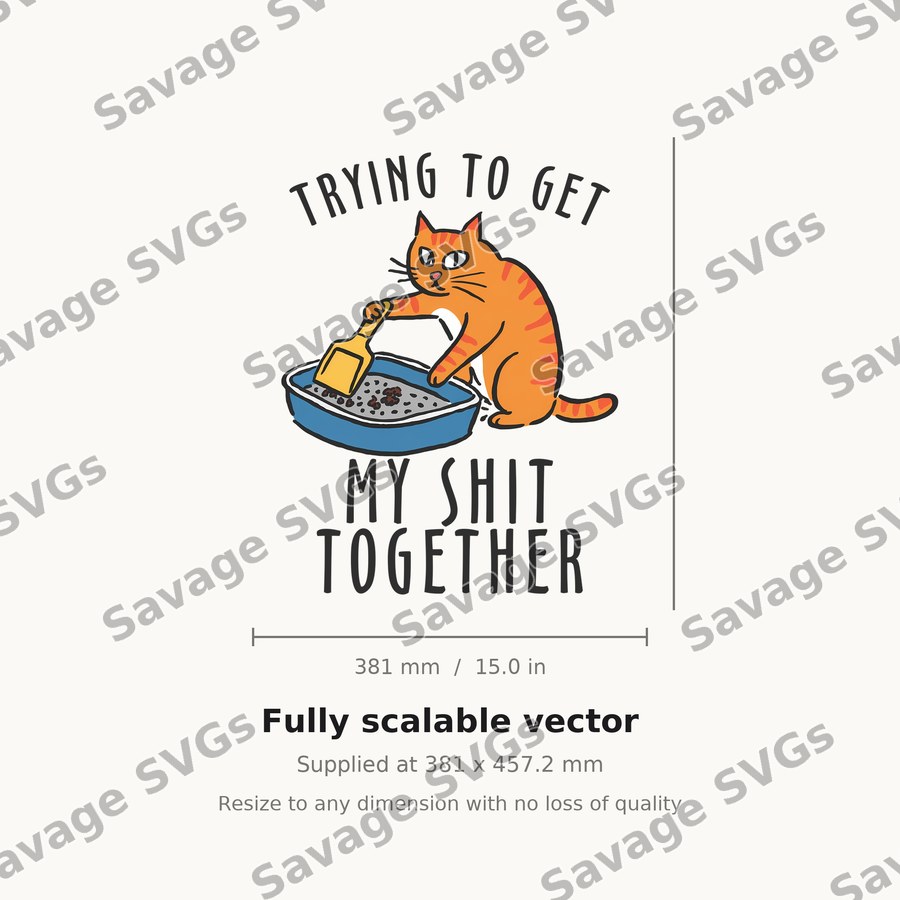 Trying To Get My Shit Together