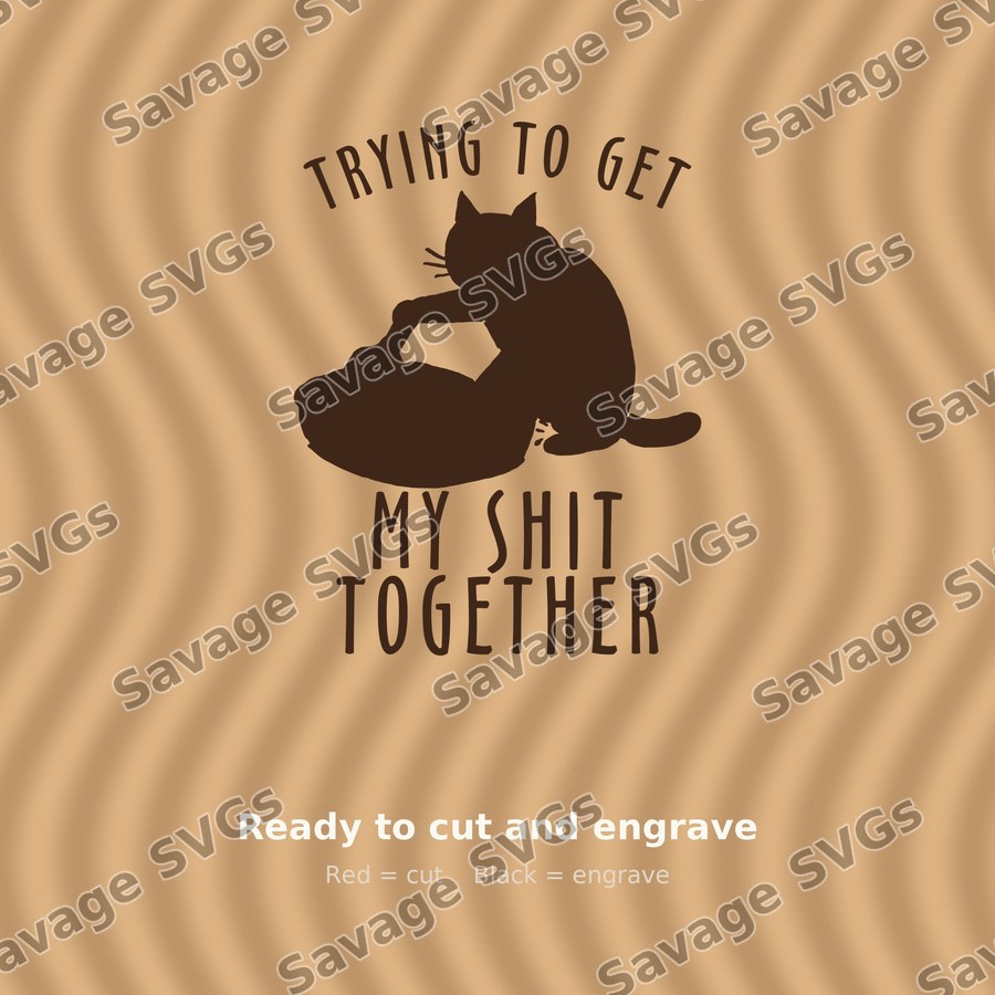 Trying To Get My Shit Together