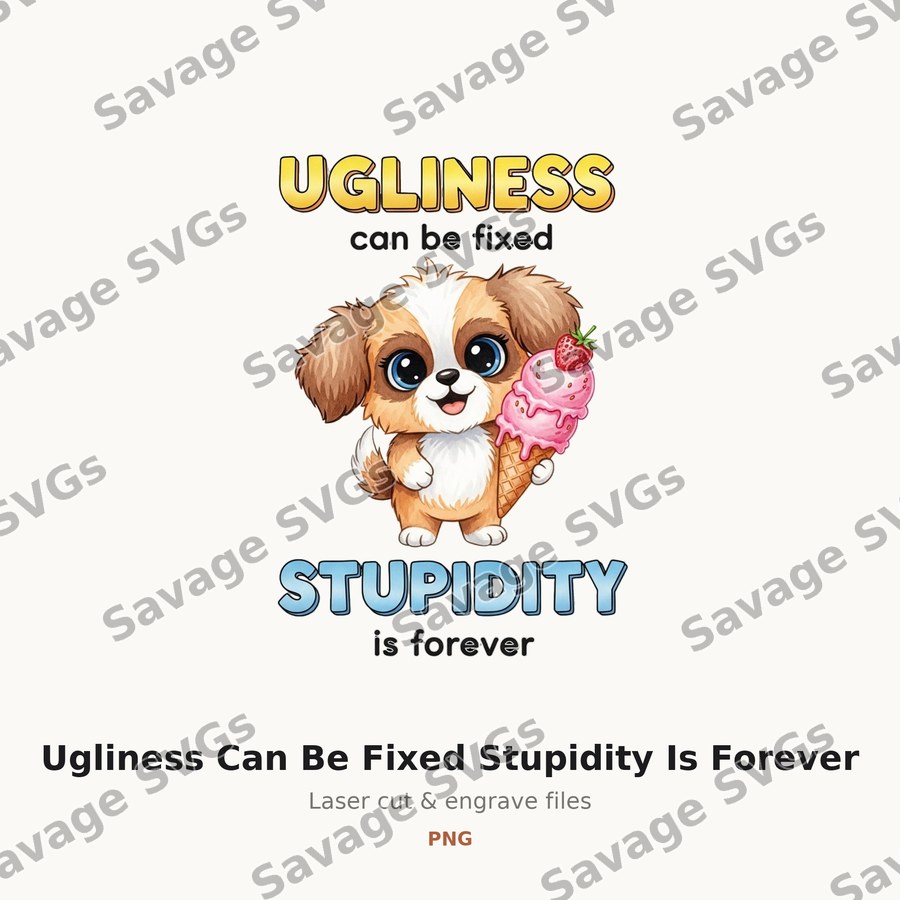 Ugliness Can Be Fixed Stupidity Is Forever