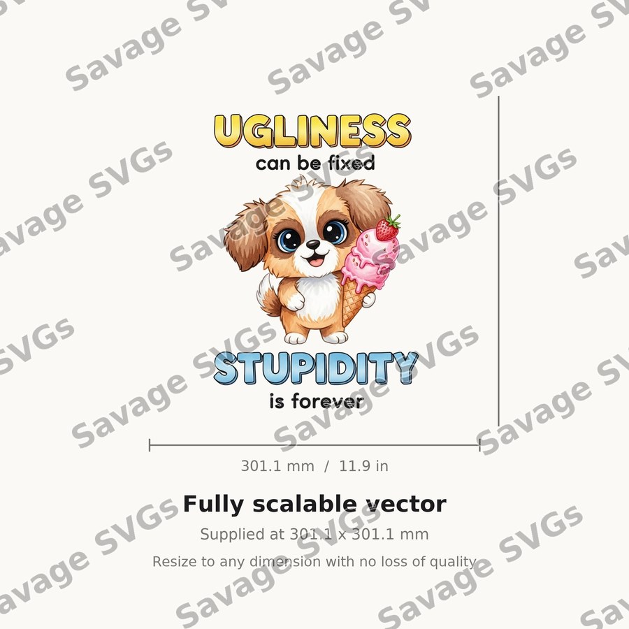 Ugliness Can Be Fixed Stupidity Is Forever