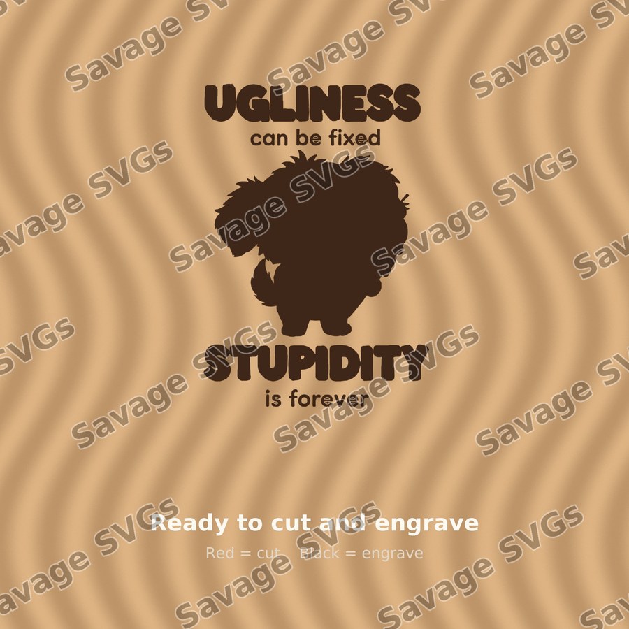 Ugliness Can Be Fixed Stupidity Is Forever