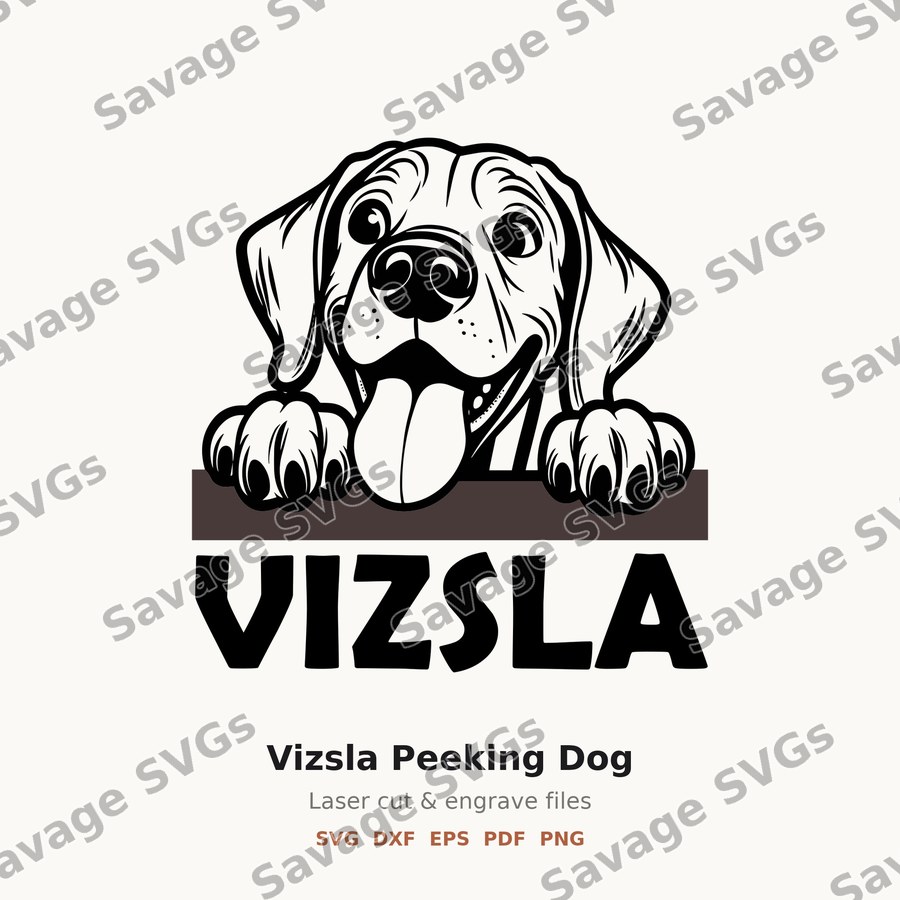 Vizsla Peeking Dog