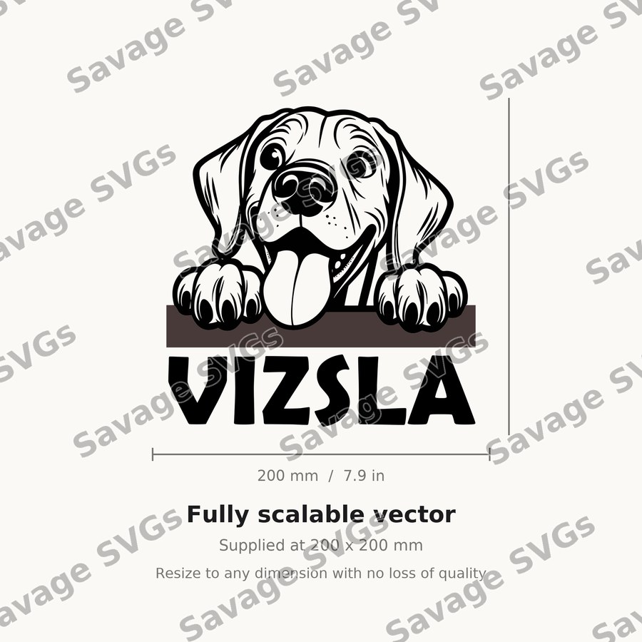 Vizsla Peeking Dog