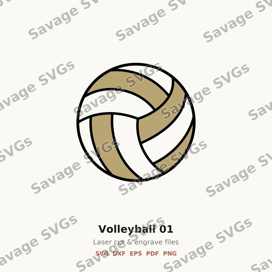 Volleyball 01