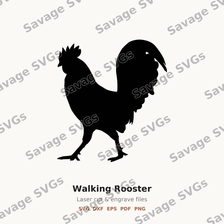 Walking Rooster