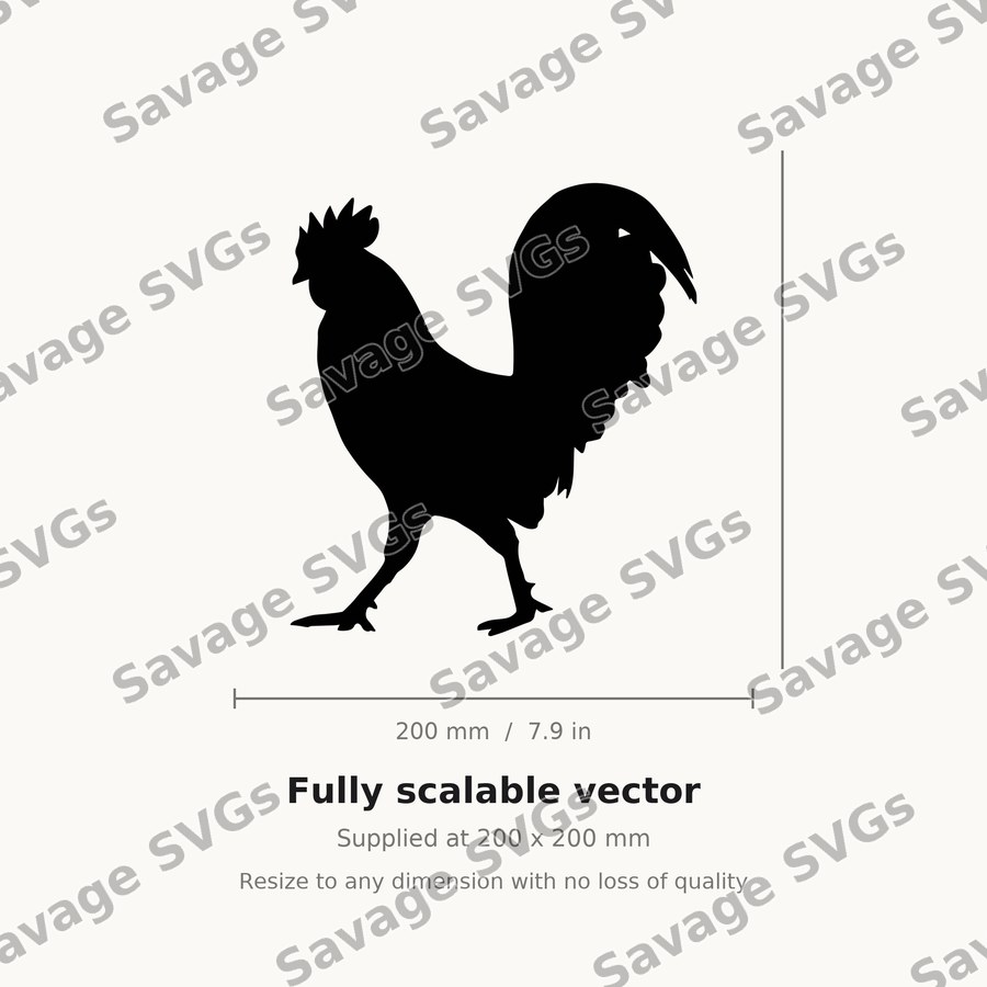 Walking Rooster