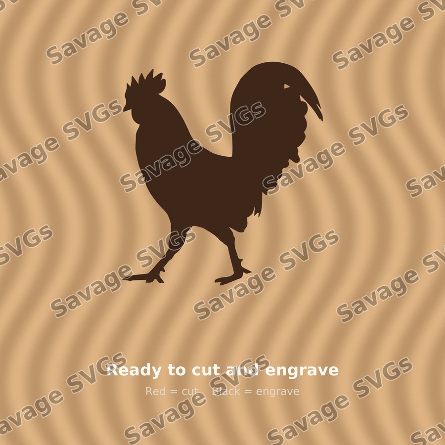 Walking Rooster
