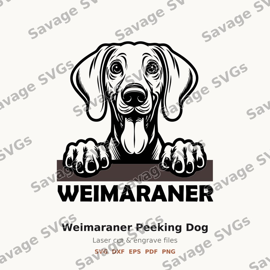Weimaraner Peeking Dog
