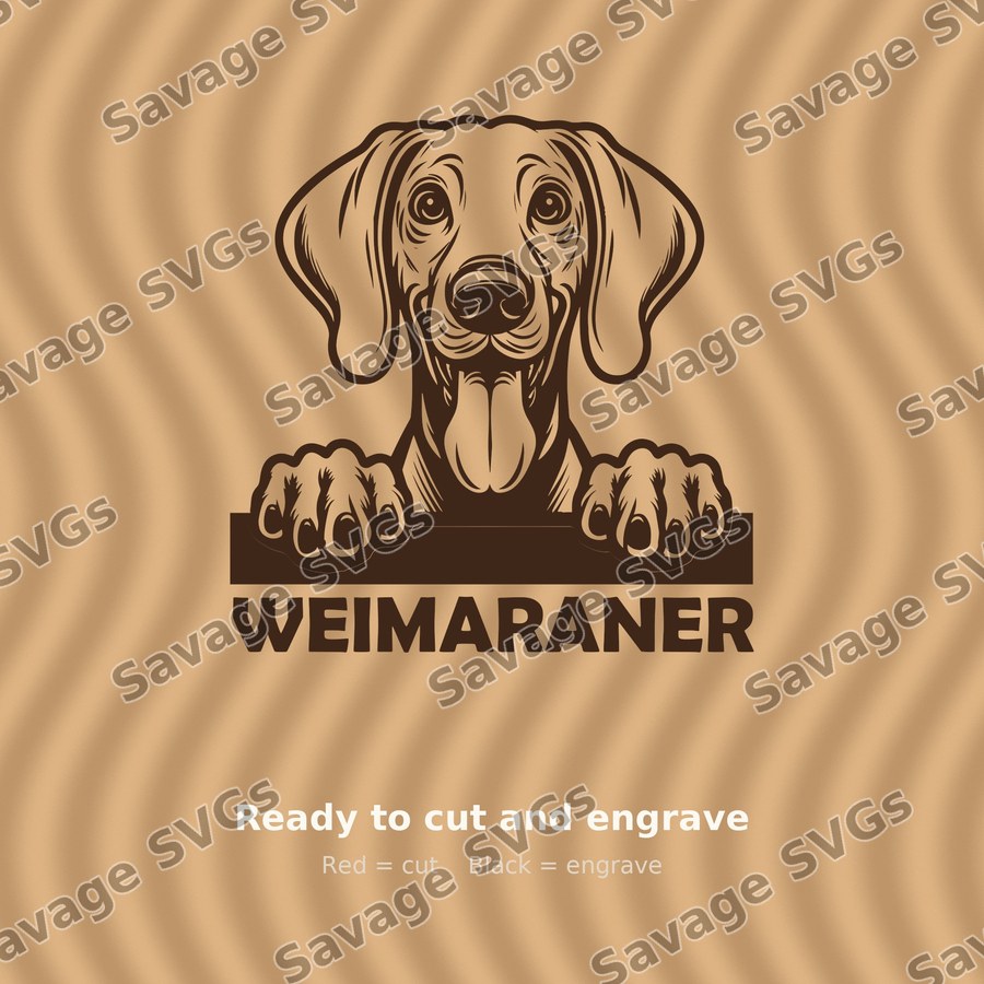 Weimaraner Peeking Dog