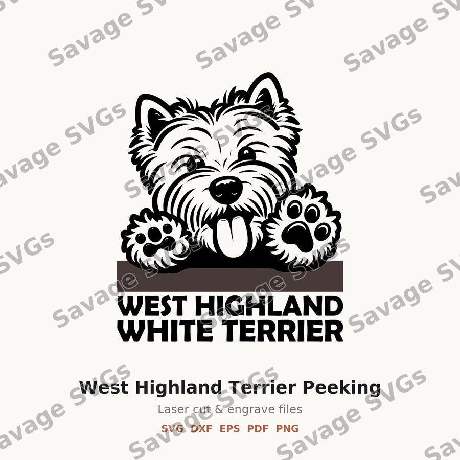West Highland Terrier Peeking