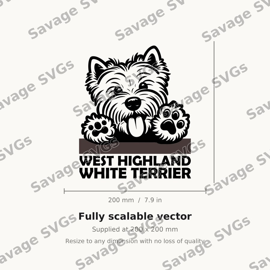 West Highland Terrier Peeking