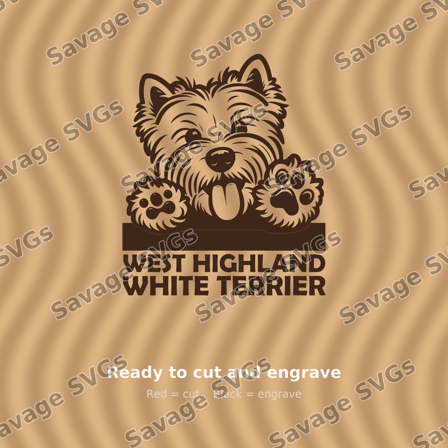 West Highland Terrier Peeking