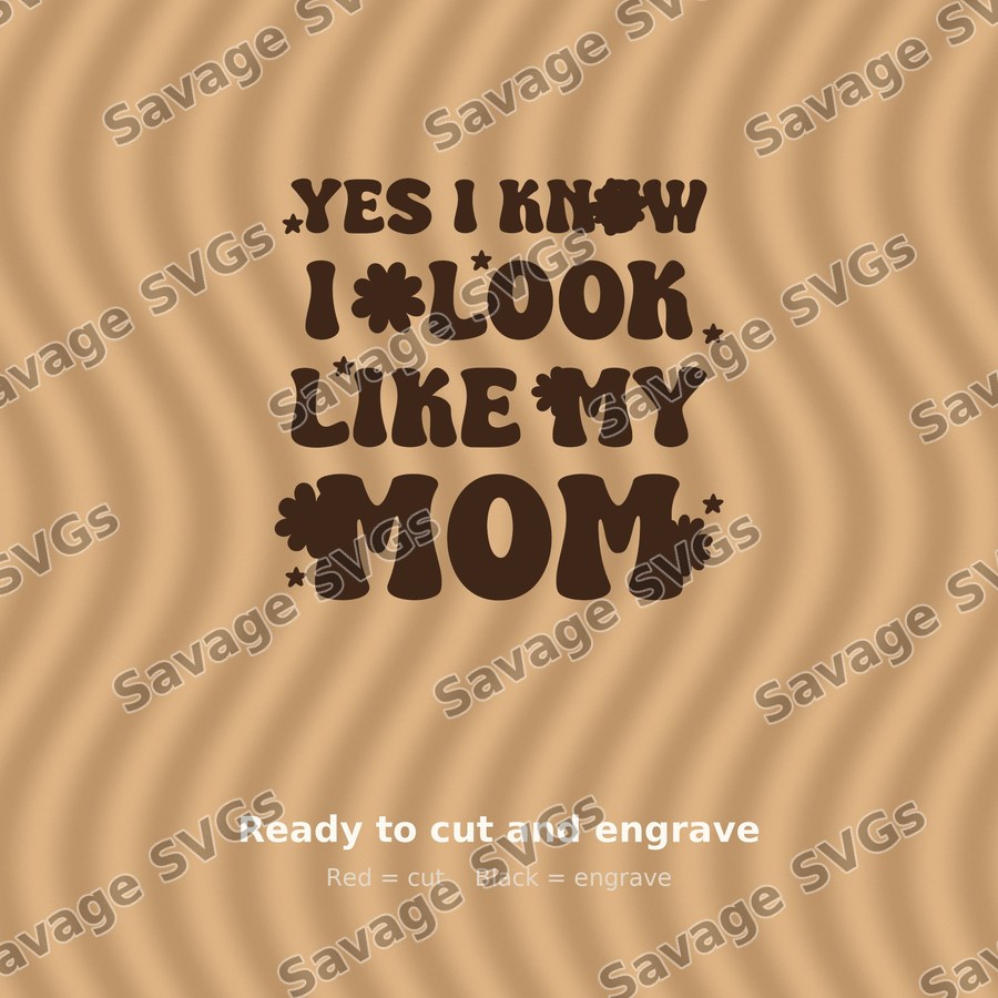 Yes I Know I Look Like My Mom