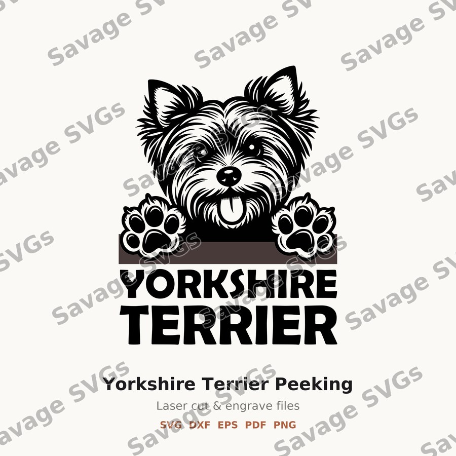 Yorkshire Terrier Peeking