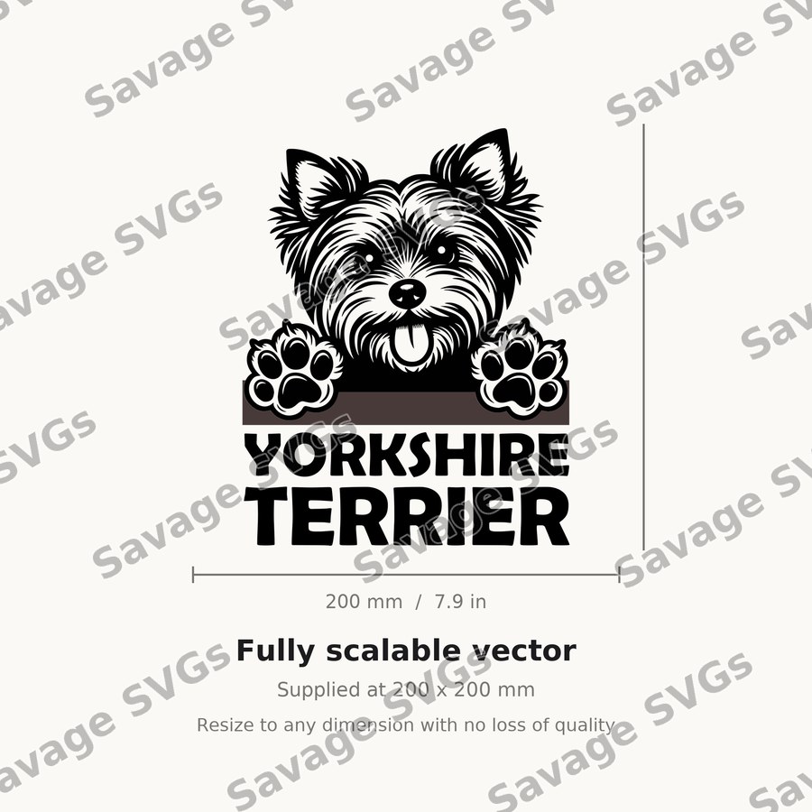 Yorkshire Terrier Peeking