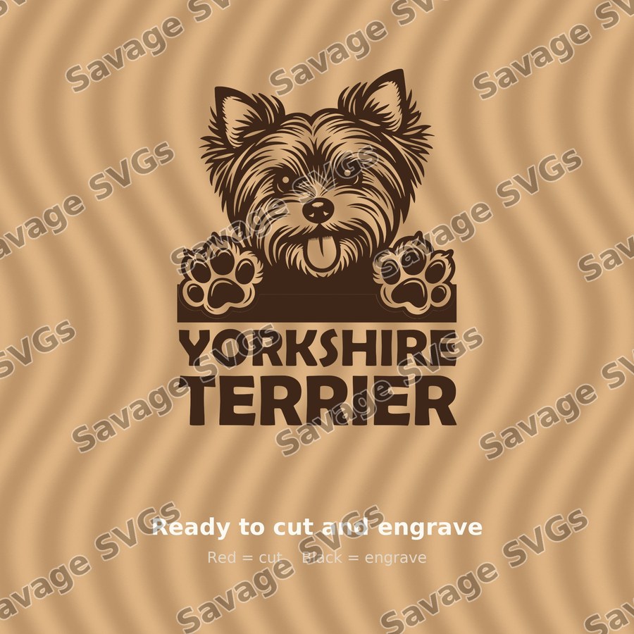 Yorkshire Terrier Peeking