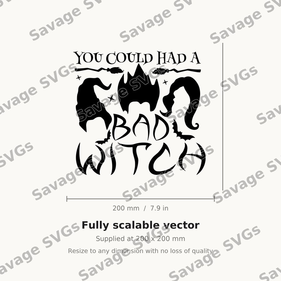 You Could Had A Bad Witch